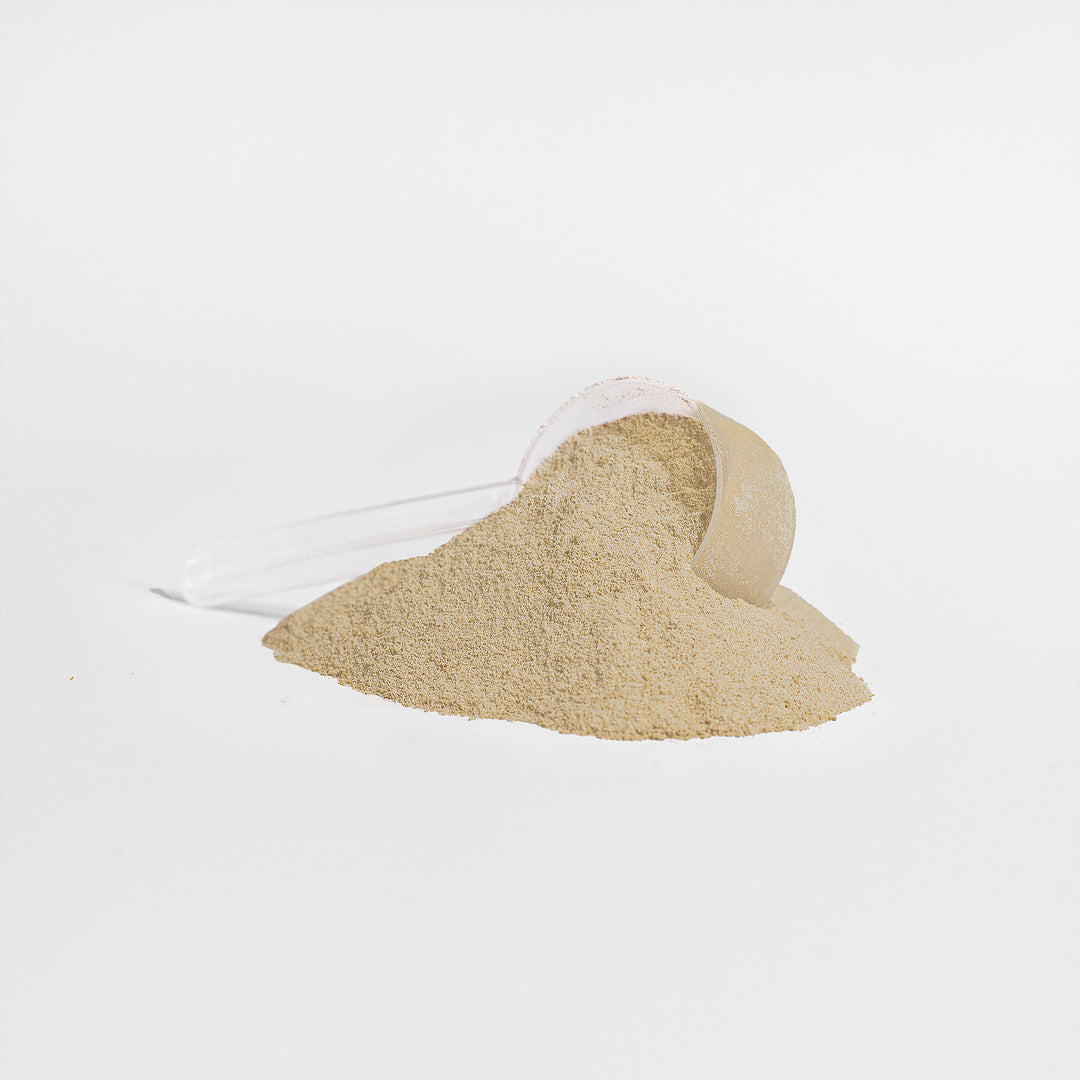 Plant Protein - Vanilla