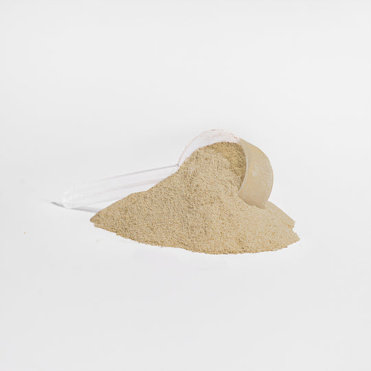 Plant Protein - Vanilla
