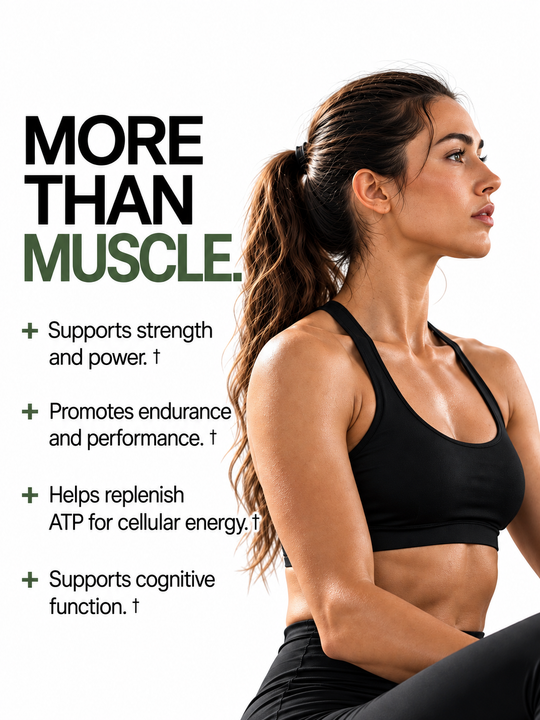 Micronized Creatine - 100 Servings